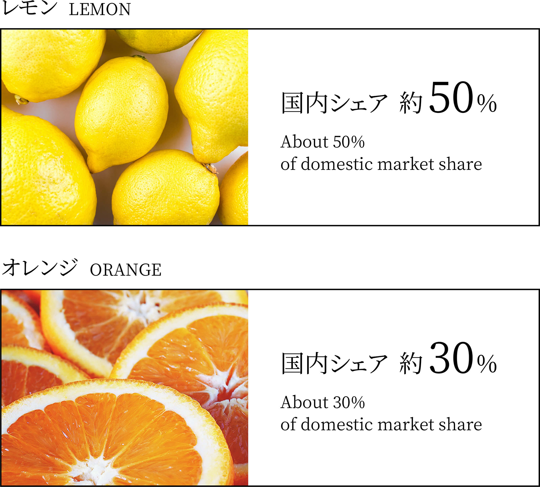 世界中からフレッシュな青果物を日本に輸入。
